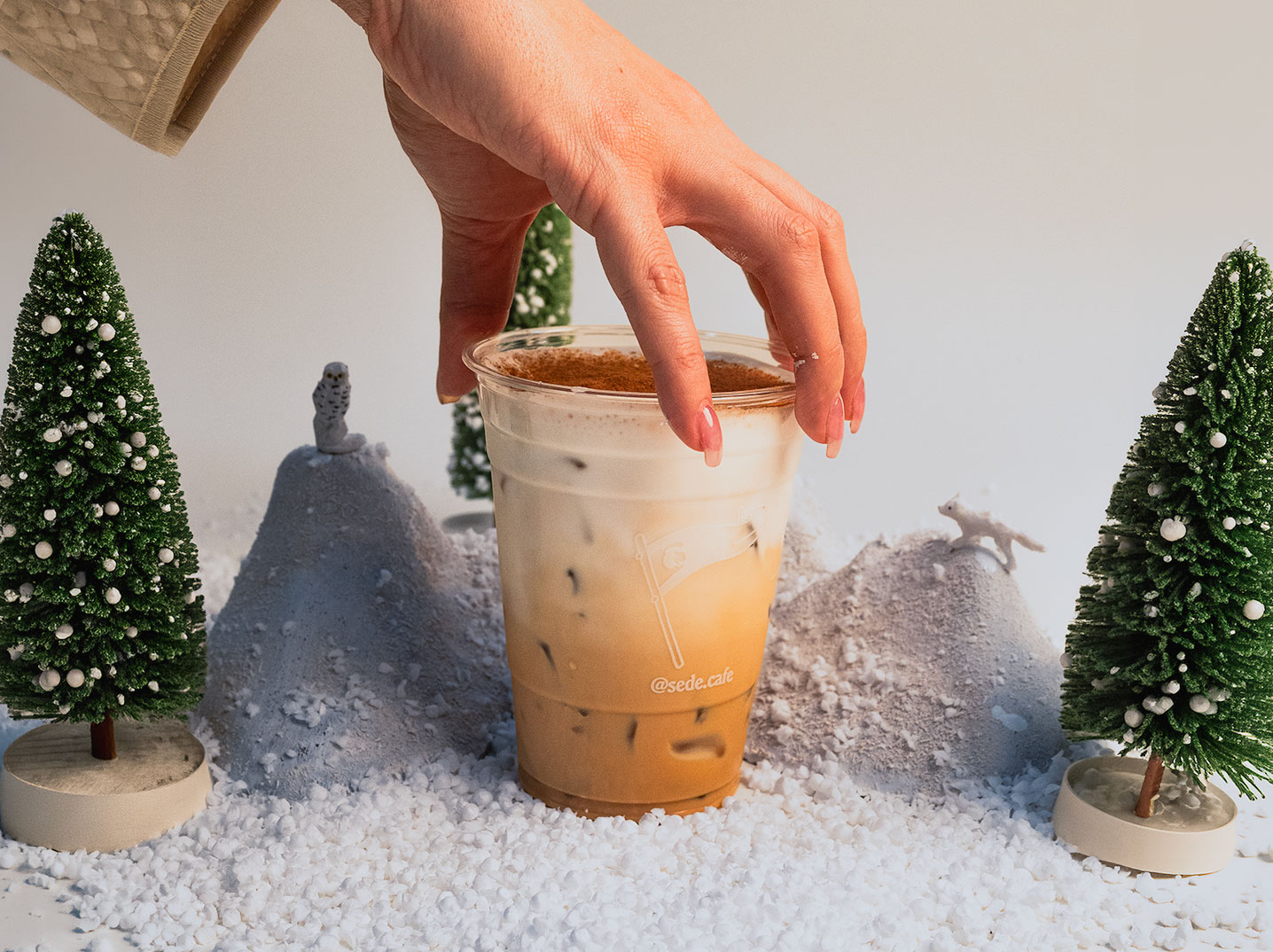 Social composition — barista